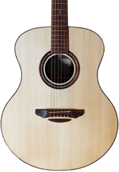 Home Guitar Shop Acoustic