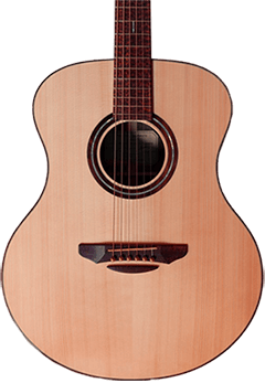 Musical Instrument Acoustic 1