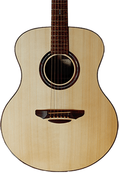Musical Instrument Acoustic 3
